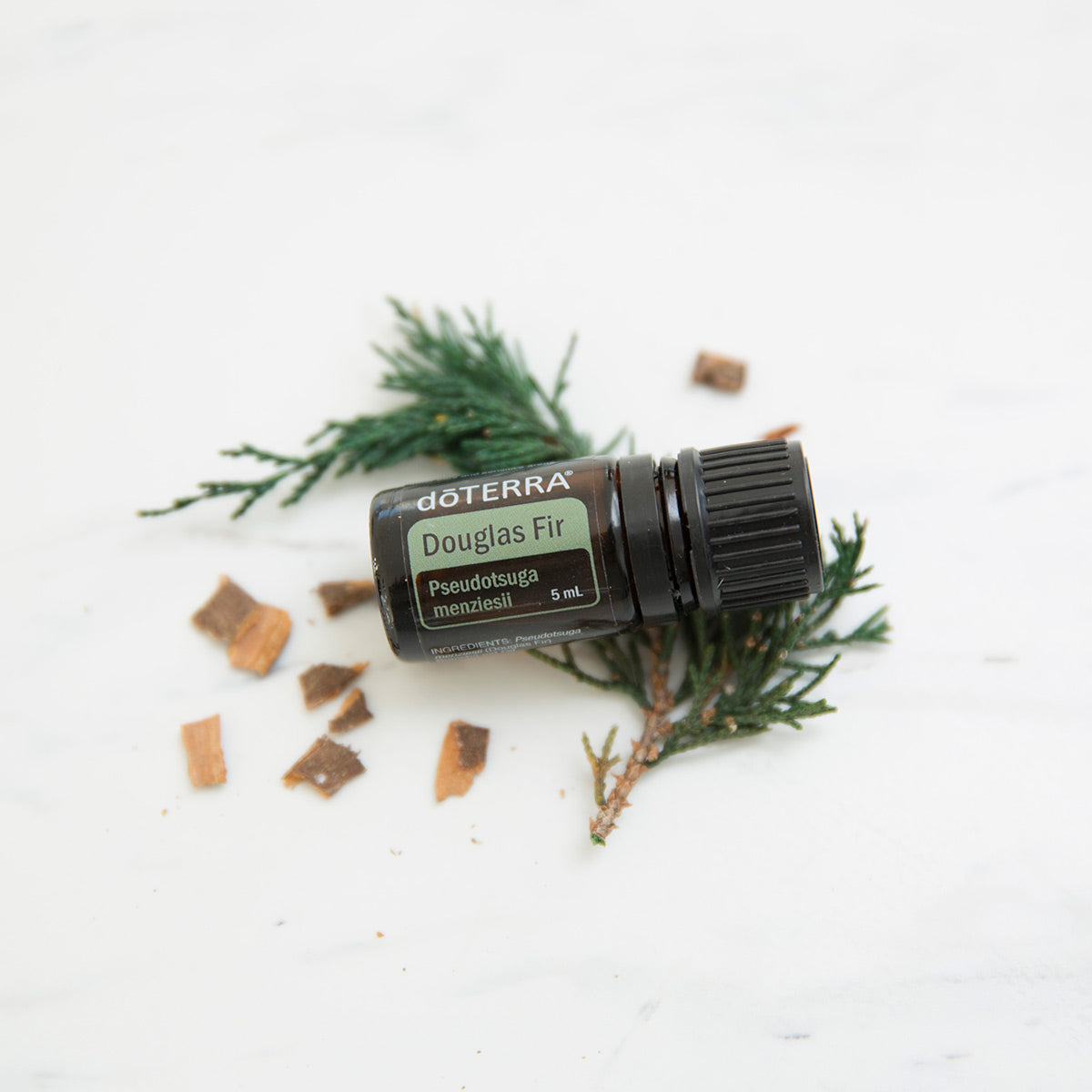 doTERRA Douglas Fir (Douglasie)