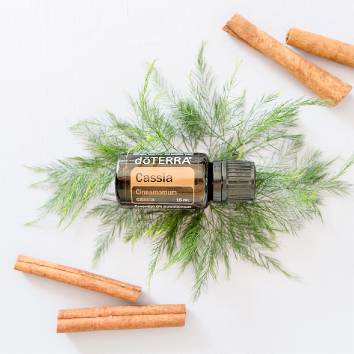 doTERRA Cassia (Kassia)