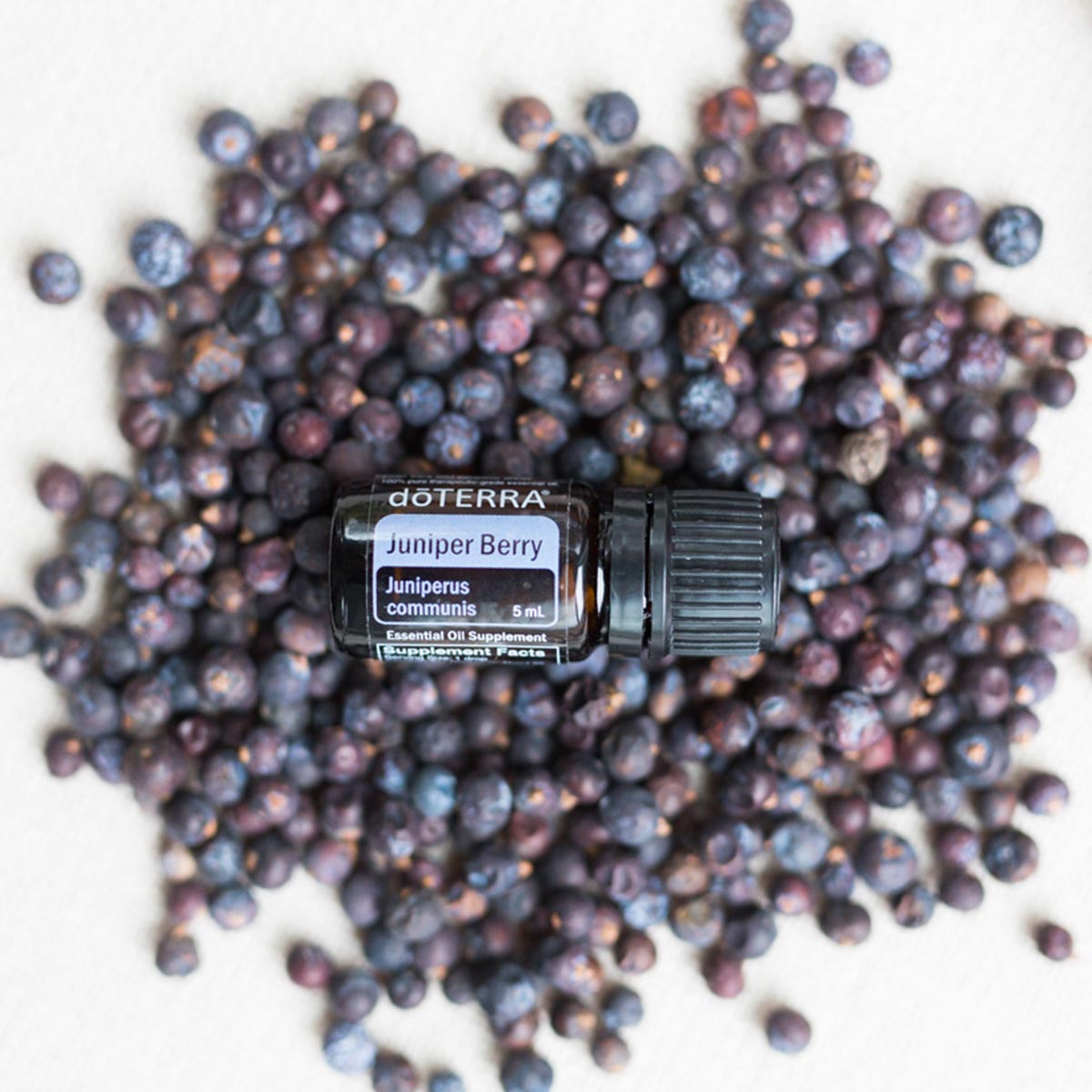 doTERRA Juniper Berry (Wacholderbeere)