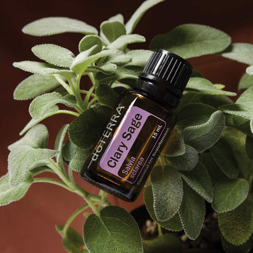 doTERRA Clary Sage (Muskatellersalbei)