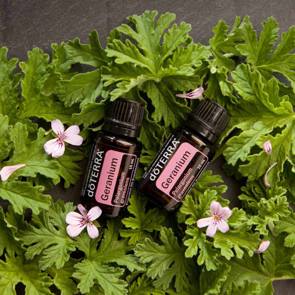 doTERRA Geranium (Geranie)