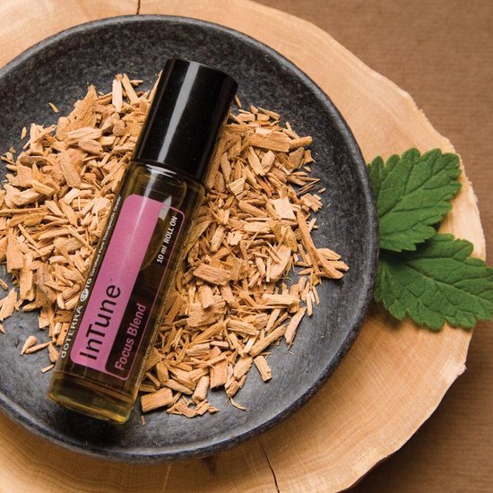 doTERRA InTune™ Fokusmischung