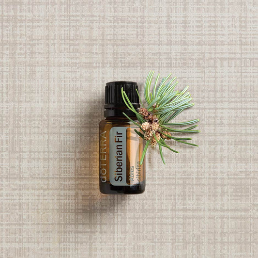 doTERRA Siberian Fir (Sibirische Tanne)