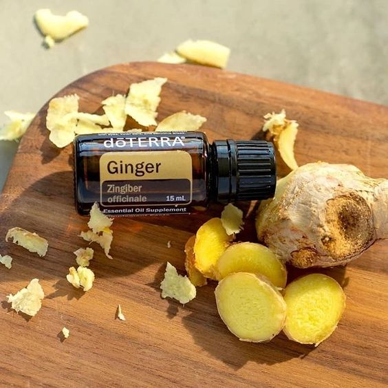 doTERRA Ginger (Ingwer)