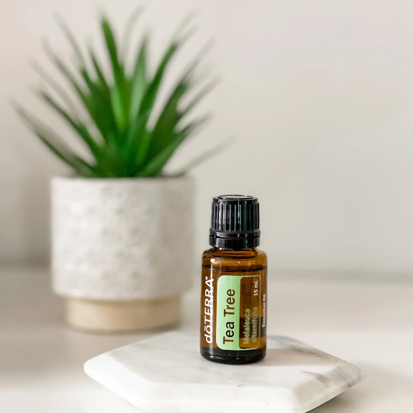 doTERRA Tea Tree (Teebaum)