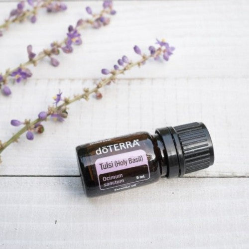 doTERRA Tulsi (Heiliges Basilikum)