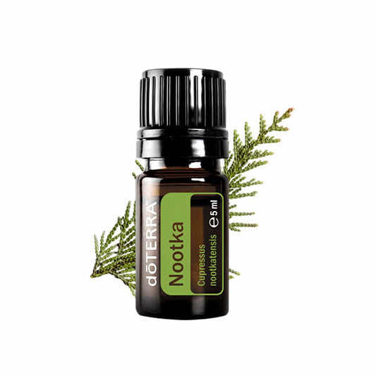 doTERRA Nootka (Scheinzypresse)