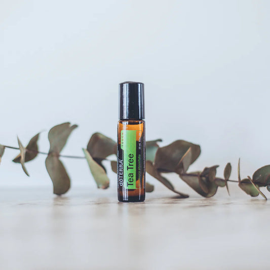 doTERRA Tea Tree (Teebaum) Touch