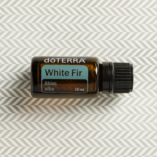 doTERRA White Fir (Weisstanne)