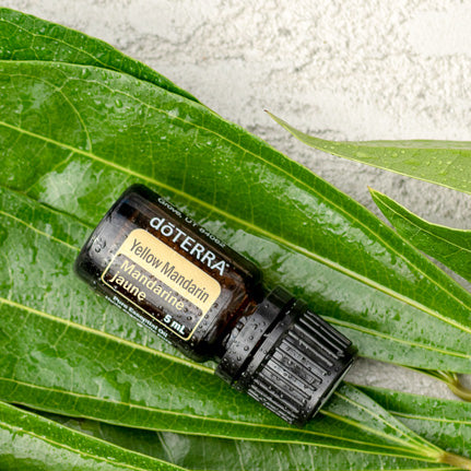 doTERRA Yellow Mandarin (Gelbe Mandarine)